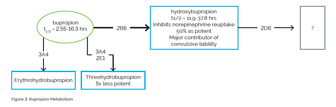 Figure 3: Bupropion Metabolism