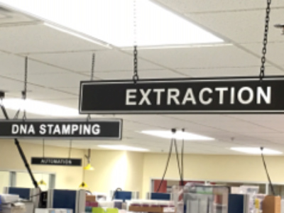 signs labeled Extraction and DNA Stamping within a laboratory