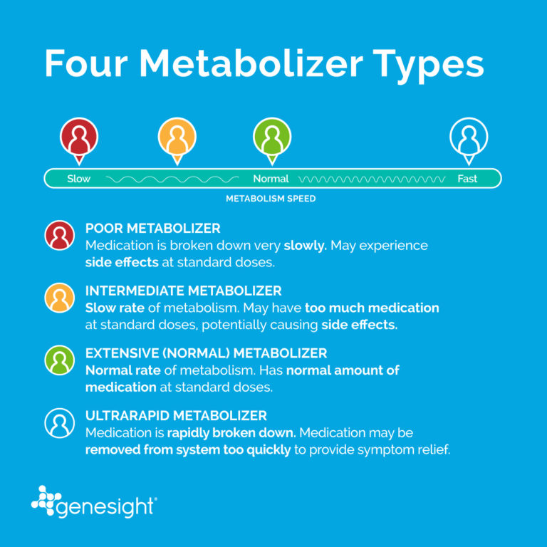 Four Metabolizer Types - Poor, Intermediate, Extensive, Ultrarapid