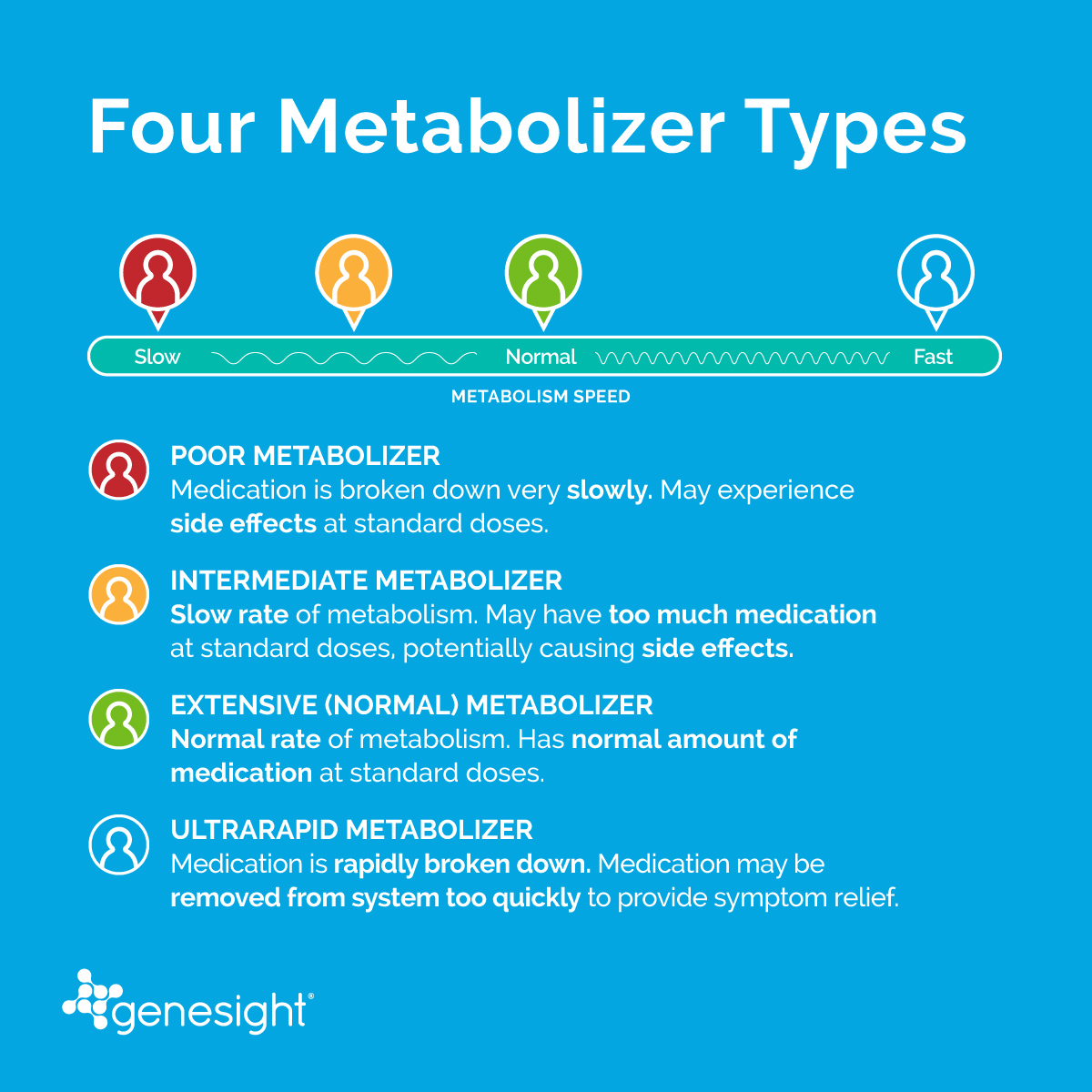 Four Metabolizer Types - Poor, Intermediate, Extensive, Ultrarapid