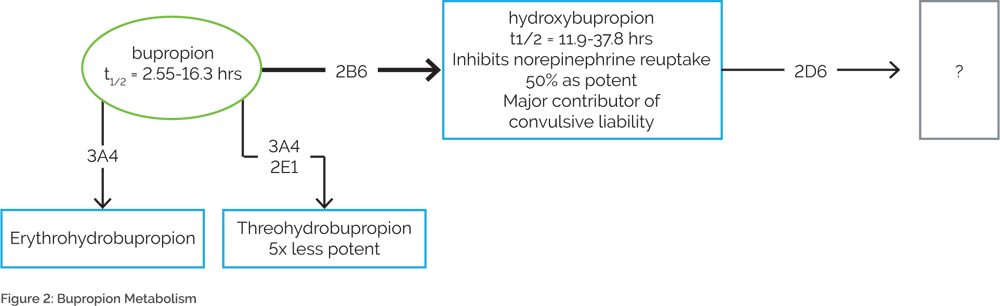 Figure 2: Bupropion Metabolism