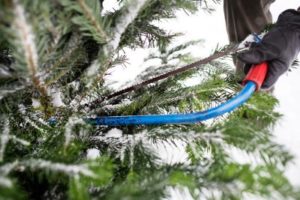 Cutting down evergreen tree, showing how holiday stress can hurt people with anxiety or depression