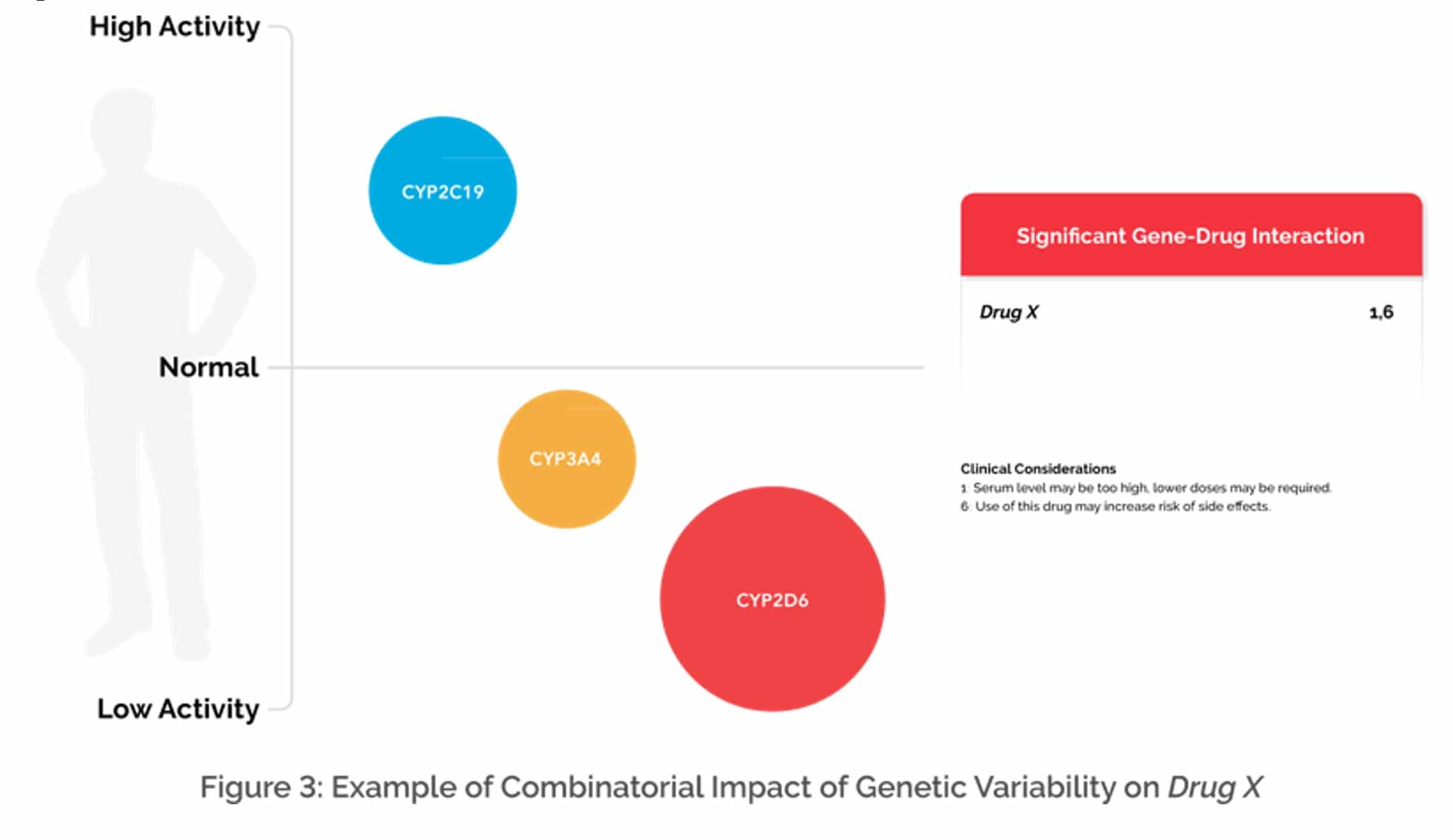 Image showing Example of Combinatorial Impact of Genetic Variability on Drug X