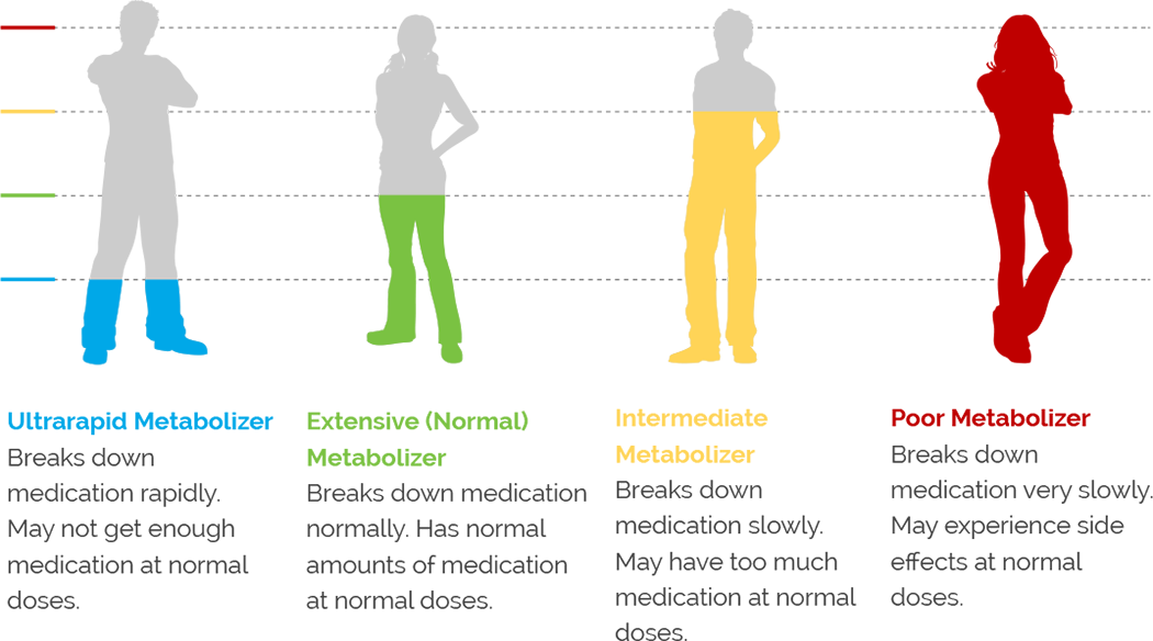 Interpreting The GeneSight® Psychotropic Report | GeneSight