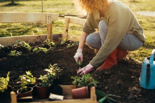 Woman planting her garden showing a beneficial mental health activity
