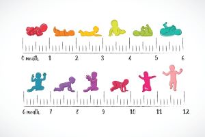 Illustration of baby milestones against month in first year of life