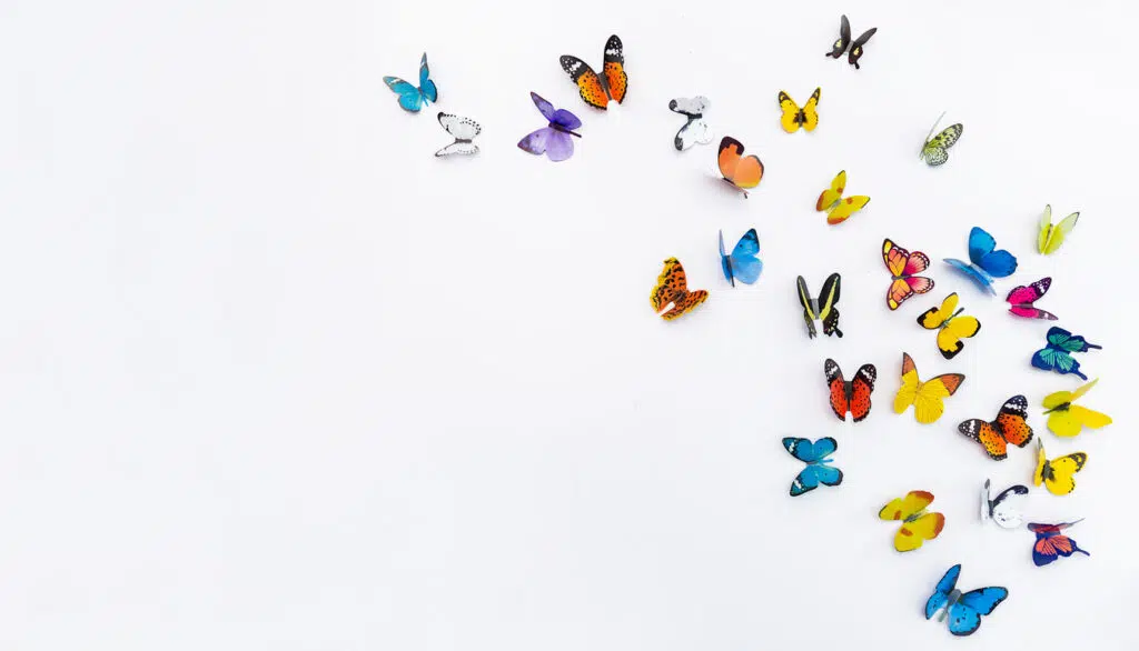 Photo of decorative butterflies pattern isolated on white background with copy space representing the Butterfly Effect, where one small action can have enormous impact