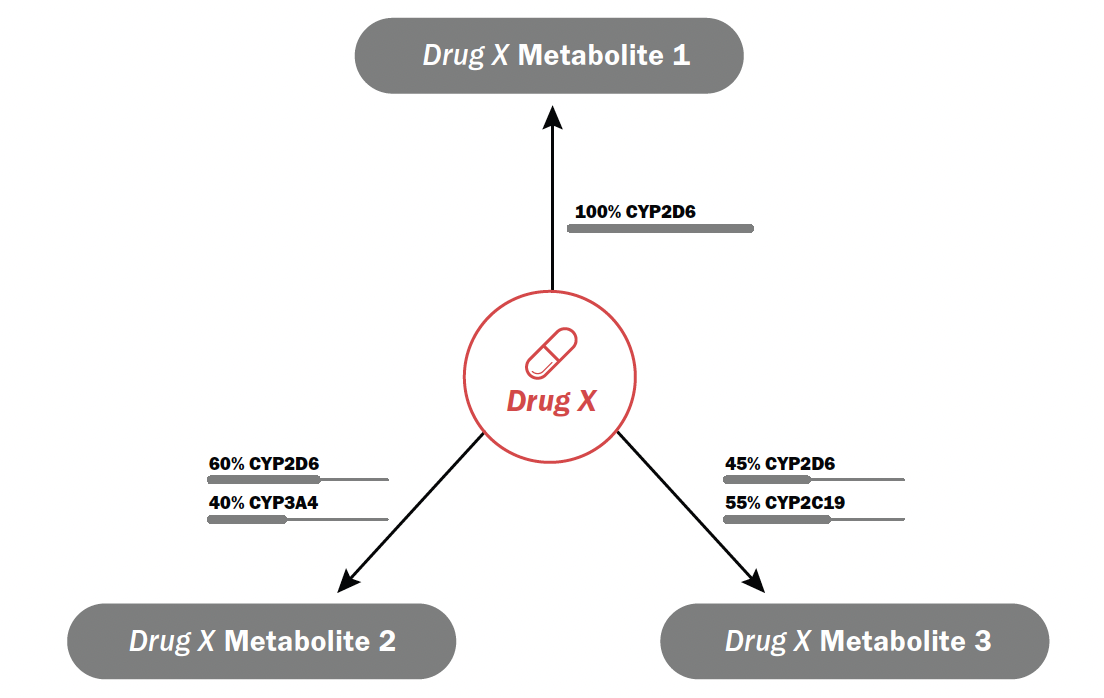 Figure 2: Metabolic Pathways of Drug X