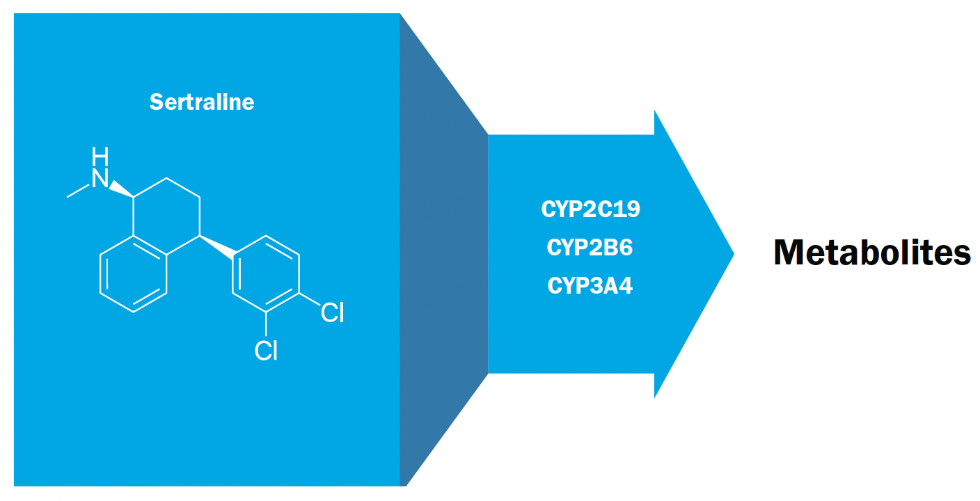 Figure 3: Sertraline metabolic pathway